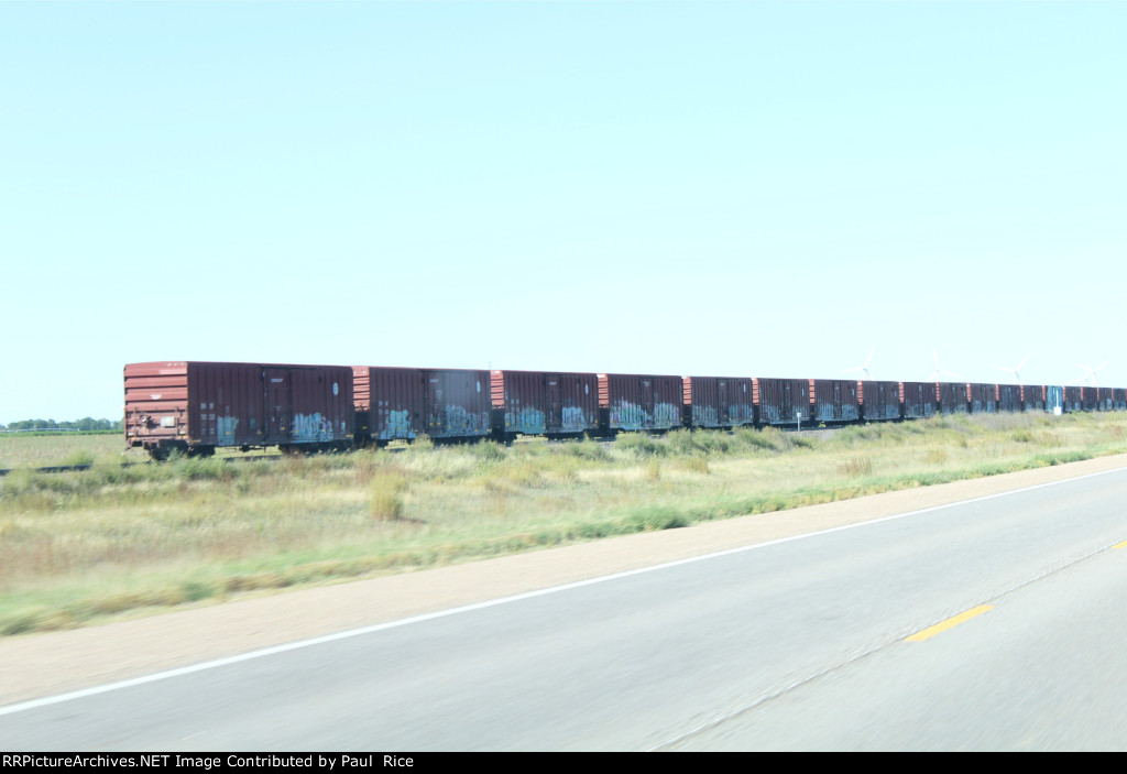 Box Cars On Siding